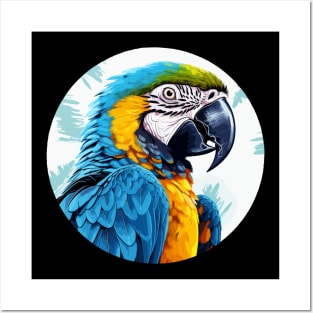 Blue and gold macaw Posters and Art